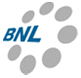 BNL (Thailand) Limited client testimonial about NetSol’s IT solutions