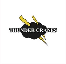 Customer review from Thunder Cranes (L) Ltd. in Malaysia about NetSol IT services