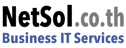 NetSol company logo – Business IT Services, Solutions and Support
