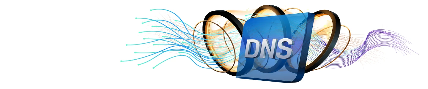 DNS security management dashboard showing network monitoring and threat protection for business websites